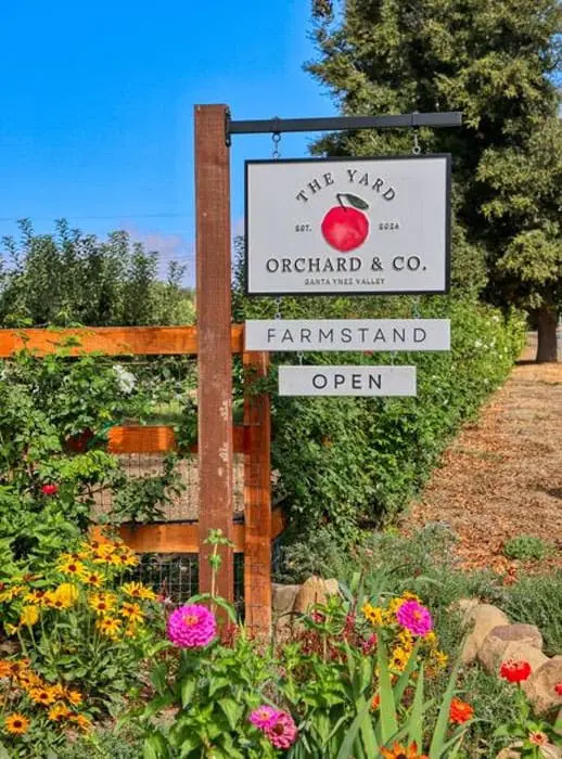Pumpkin patches and u-pick orchards near Solvang